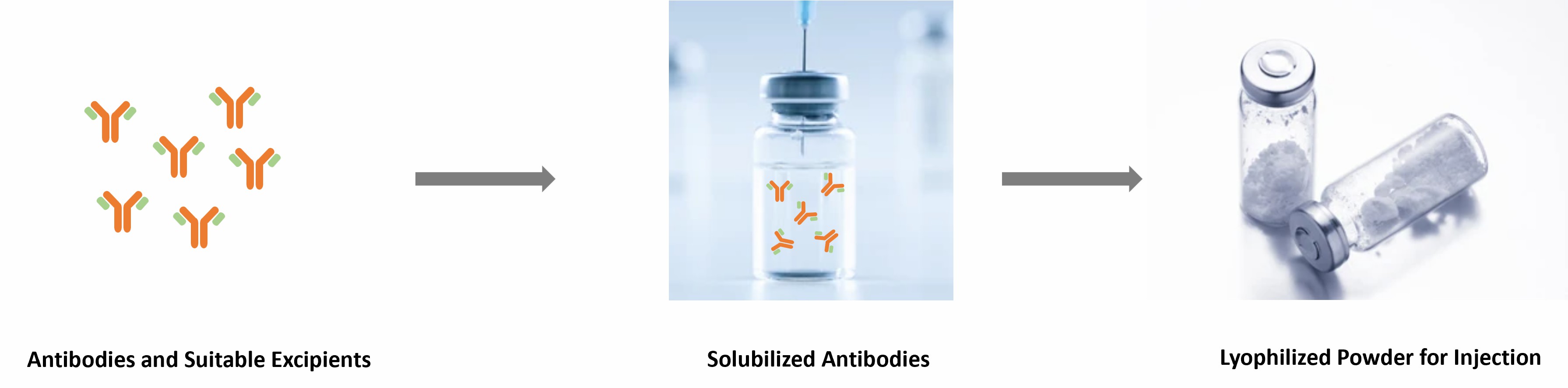 Antibody Lyophilized Powder Injection Development Process-CD Formulation