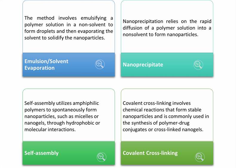 Methods for Developing Antibody Polymer Nanoparticles - CD Formulation