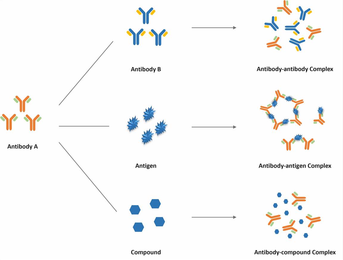 Antibody Complexes Types at CD Formulation