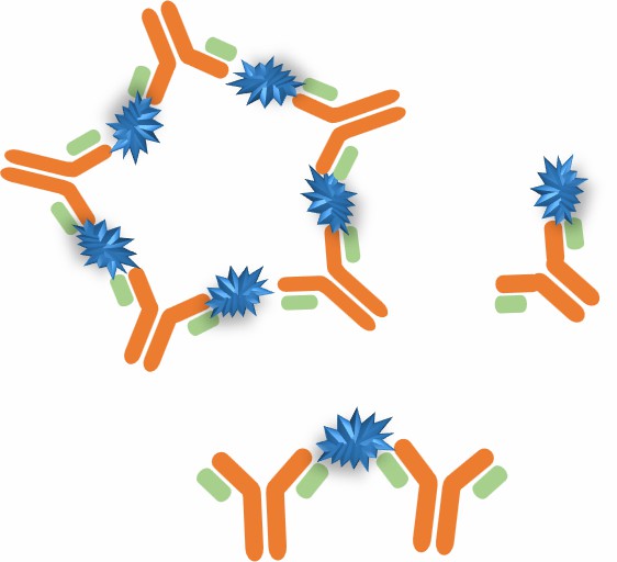 Antibody Complexes Development – CD Formulation