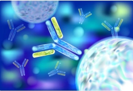 One-stop Solutions for Antibody Formulation Development