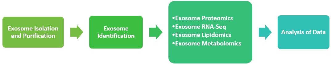 Our Exosome Analysis Workflow