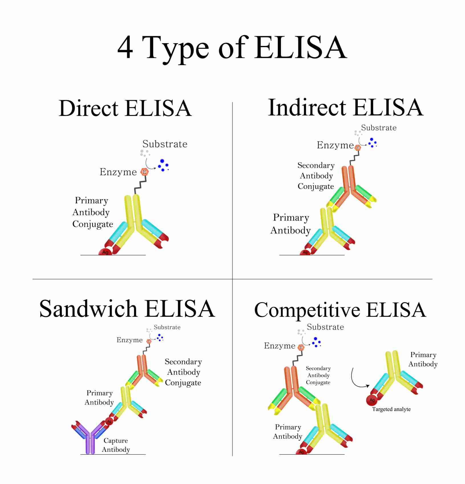 Our ELISA Detection Methods