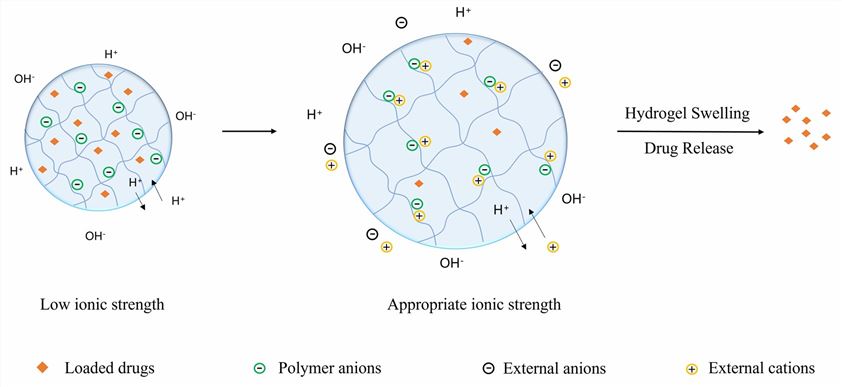 Drug release mechanisms of Ion-sensitive hydrogels - CD Formulation