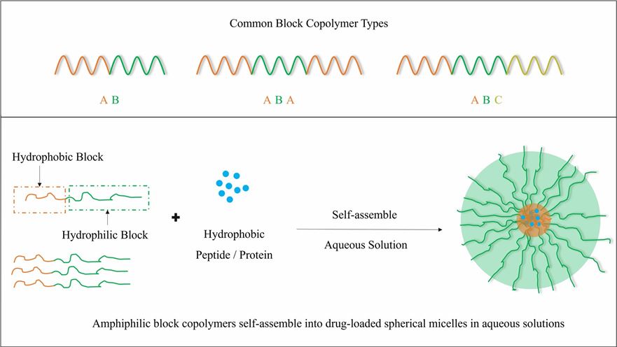 lock copolymer types and drug-loaded micelle self-assembly process– CD Formulation