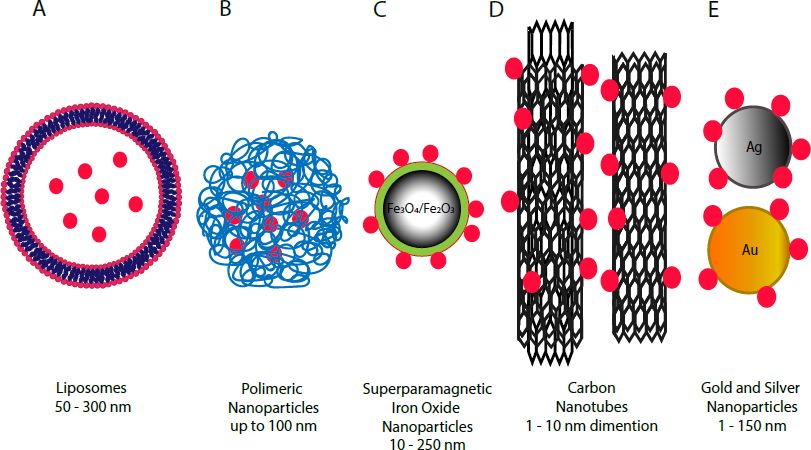 Nanoparticles for Peptides and Proteins Delivery (Pudlarz A.; et al. 2018)