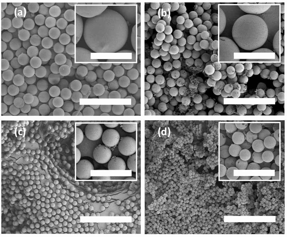 SEM images of PLA microspheres (Watanabe T.; et al. 2011)