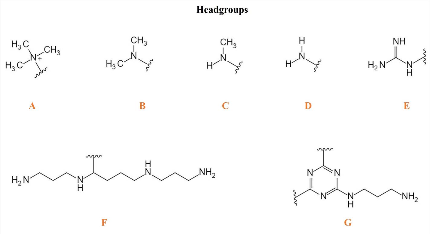 Headgroups of Cationic Lipid – CD Formulation