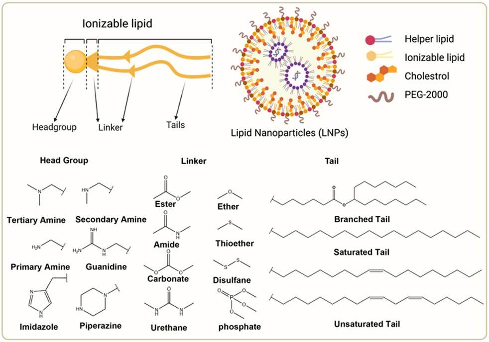 Molecular structures and component segments of ionizable lipids