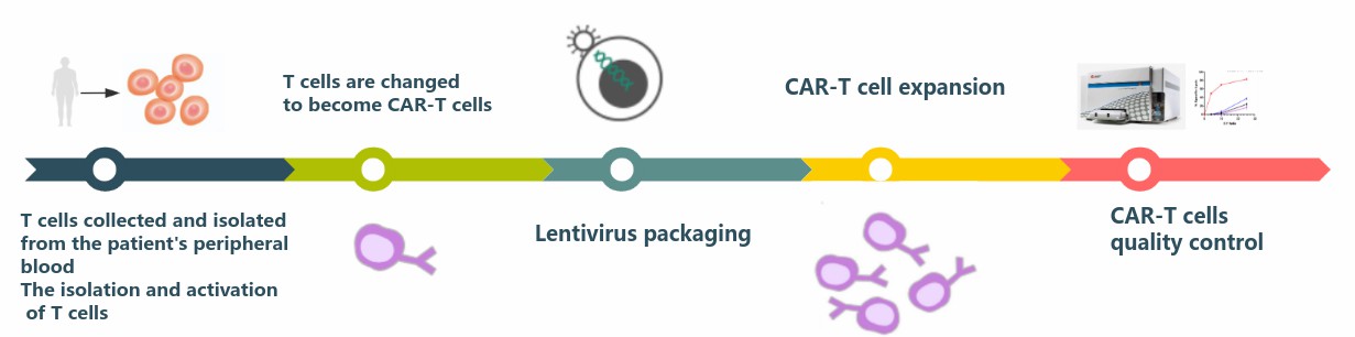 CAR-T Cell Therapy Development