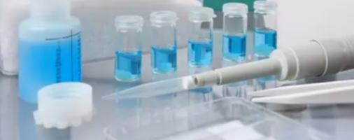 Biological Activity (Potency) Testing Services