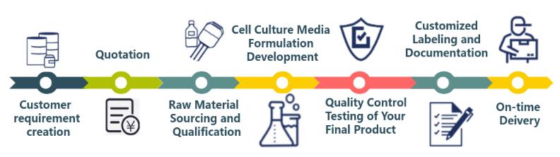 Our Cell Culture Media Development Process