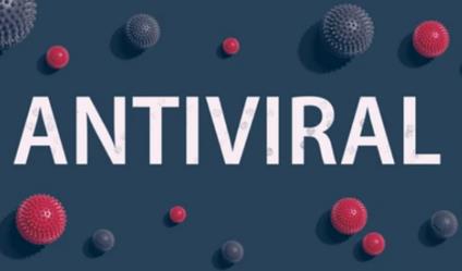 In Vitro Antiviral Testing Services
