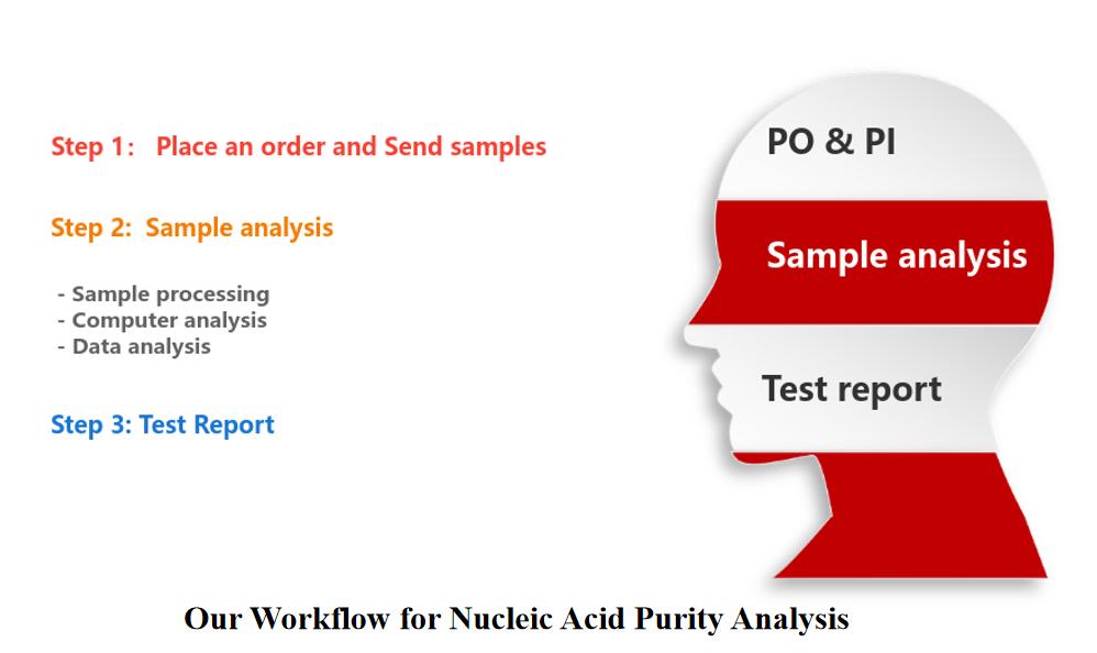 Our Workflow for Nucleic Acid Purity Analysis