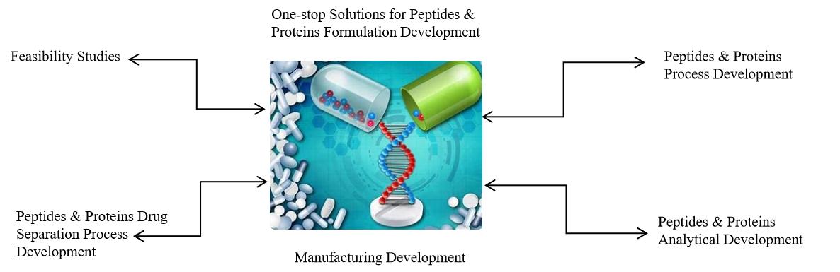 One-stop Solutions for Peptides and Proteins Formulation Development