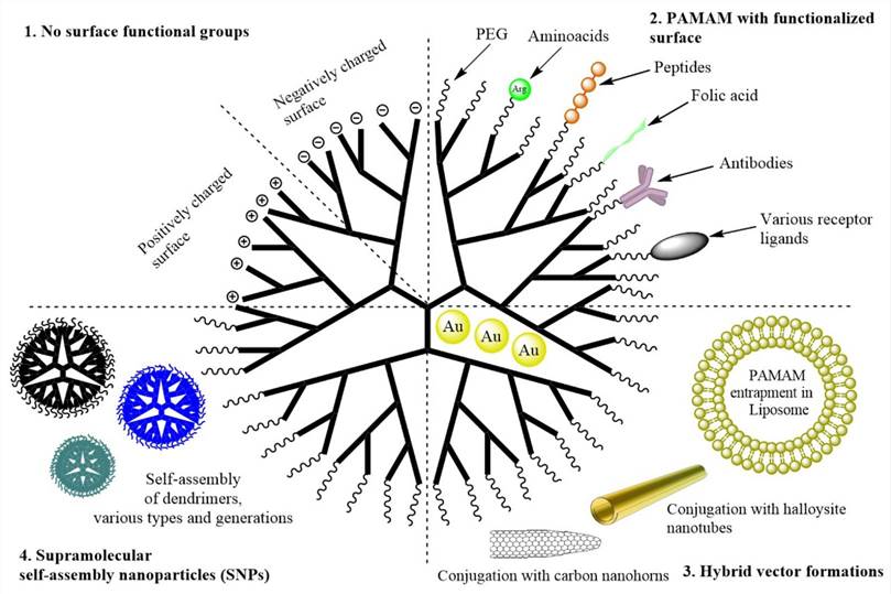 Schematic diagram of the structure and modification of PAMAM dendrimers