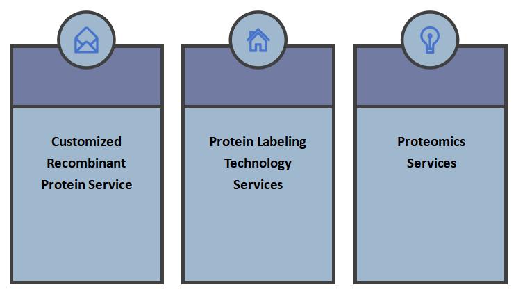 Protein Service