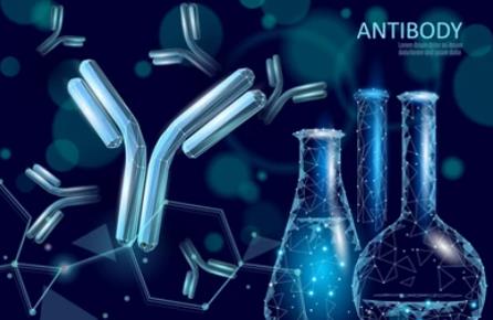 Single B Cell Antibody Technology