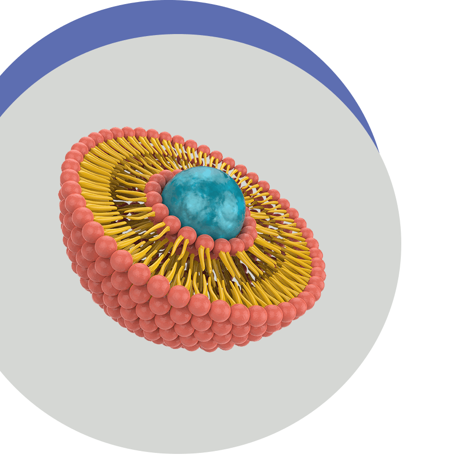 Liposome Delivery