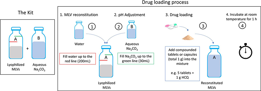 Fig.1 The drug loading process of liposomes.