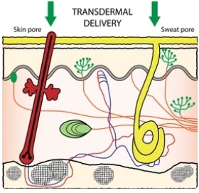 Transdermal delivery.