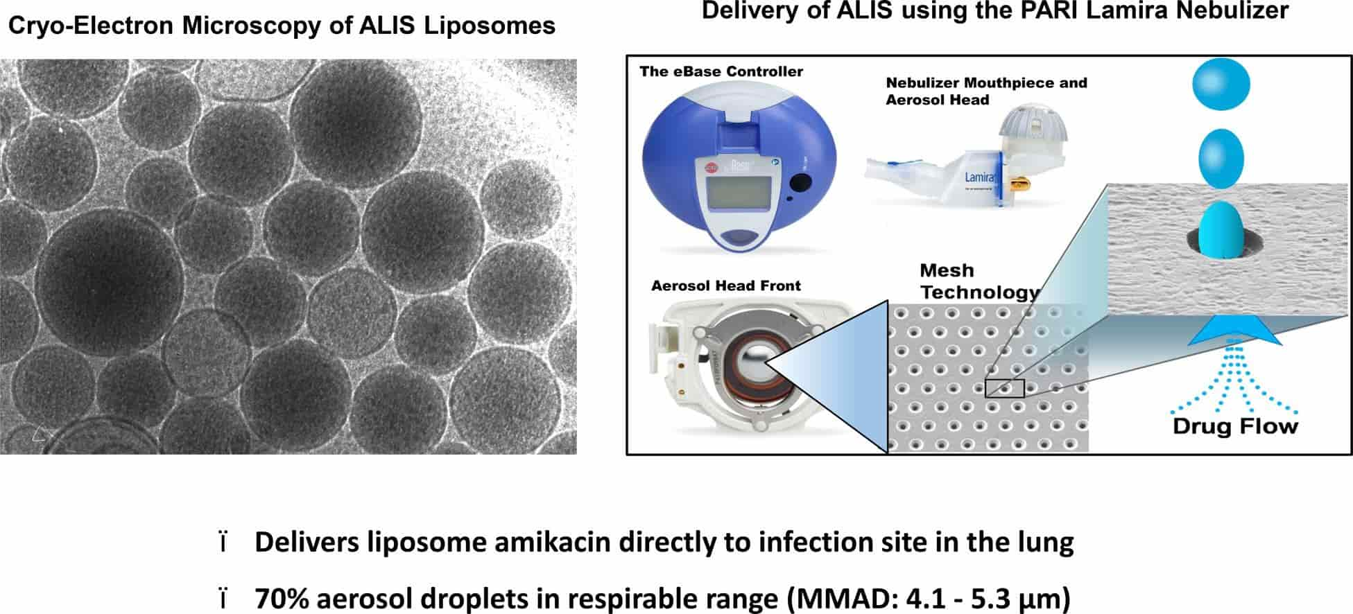 Fig.2 Liposome inhalation suspension evaluation.