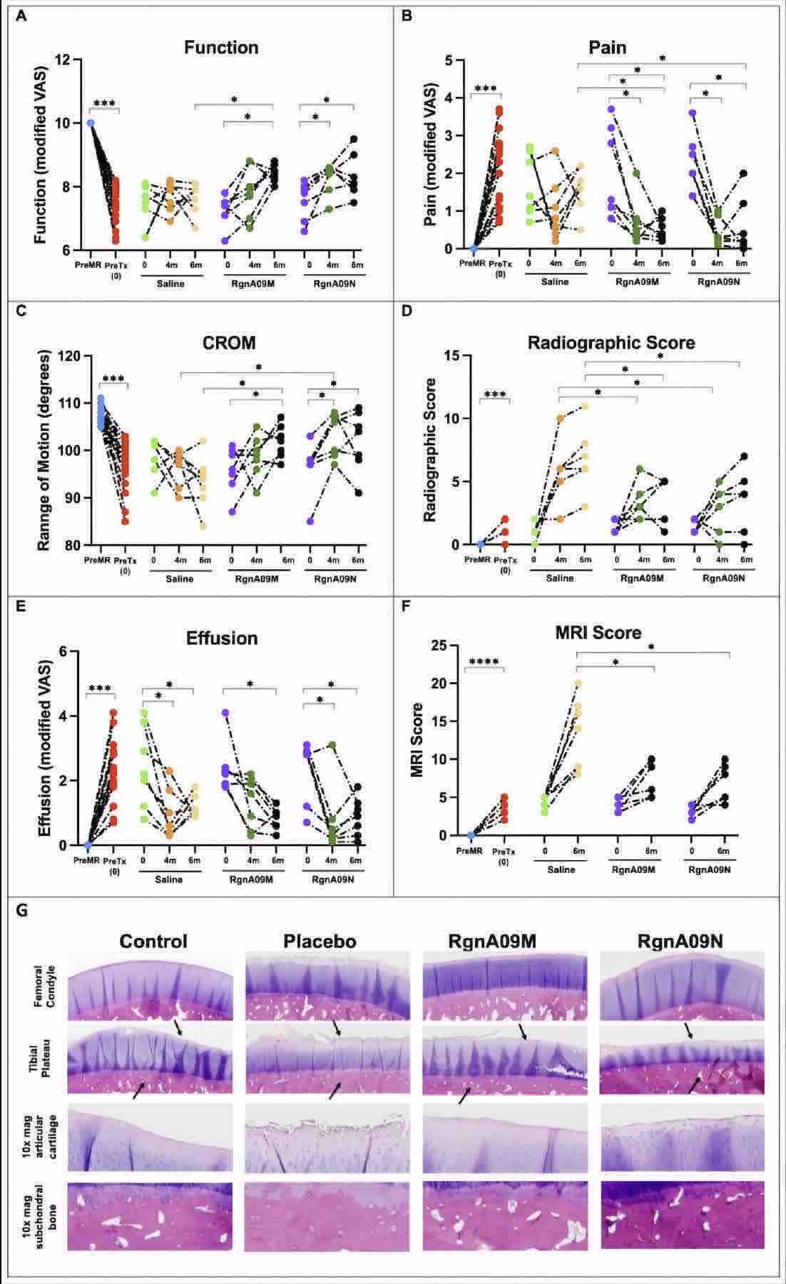 Fig.2 liposome pharmacodynamic evaluation.