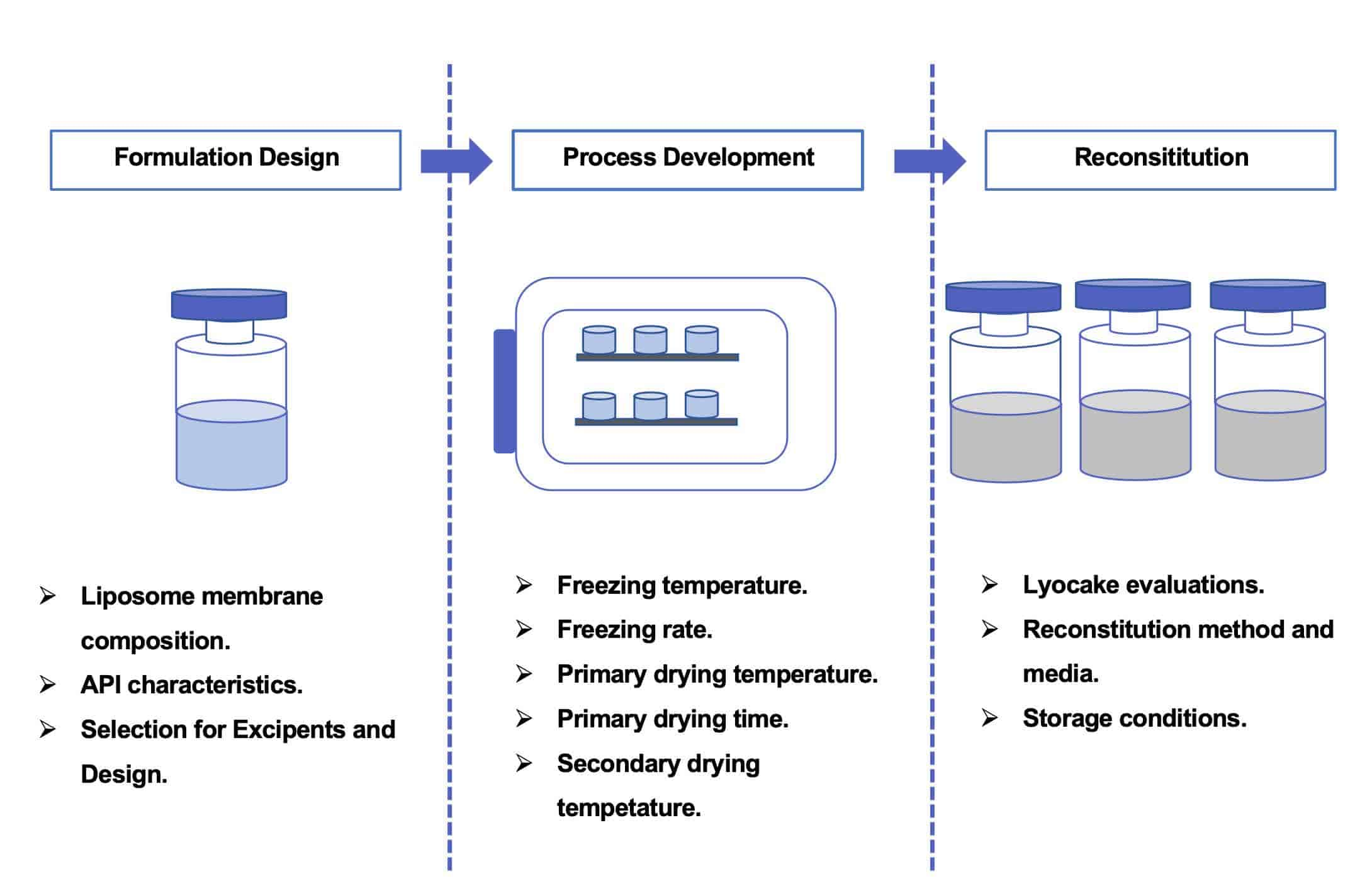 Fig.1 Our workflow of lyophilized liposome formulation development.