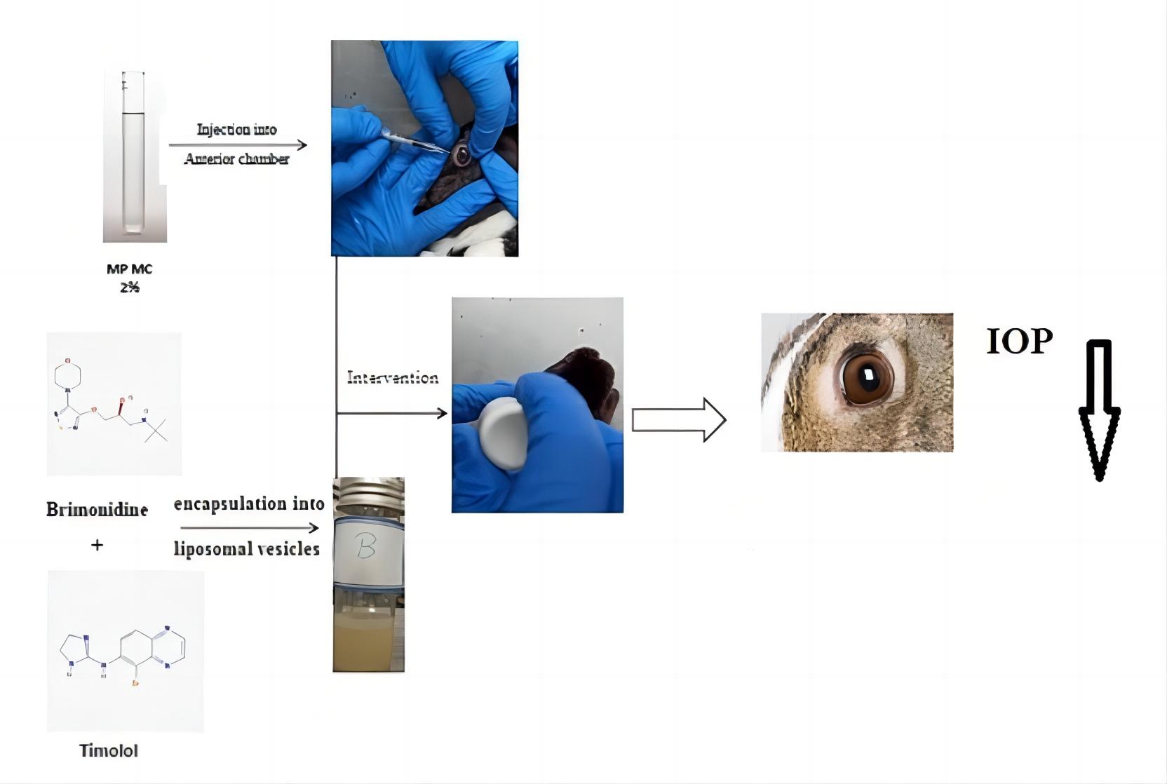 Fig.3 Development process for ocular liposome formulation.