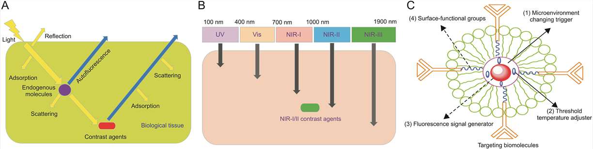 Fig.1 Ultrasound-controlled fluorescence mechanism for deep tissue optical imaging using liposomes.