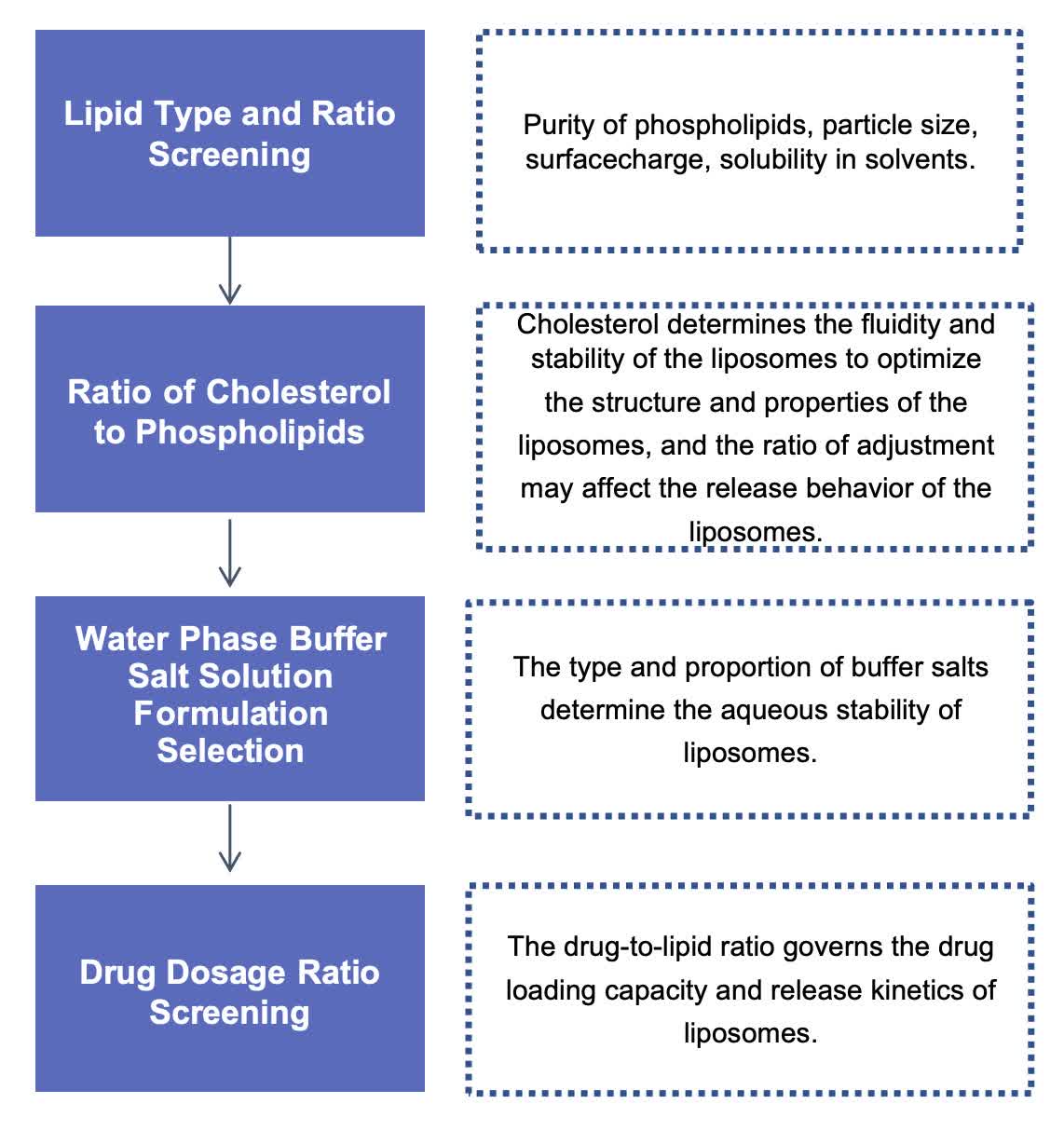 Fig.1 Our workflow of liposome formula screening.