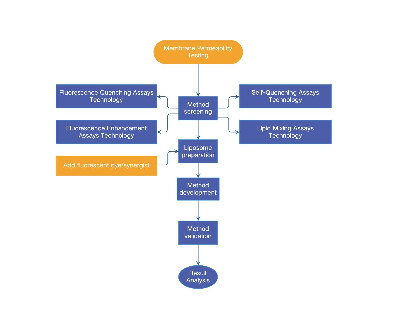 Fig.2 Our workflow of liposome membrane permeability testing.