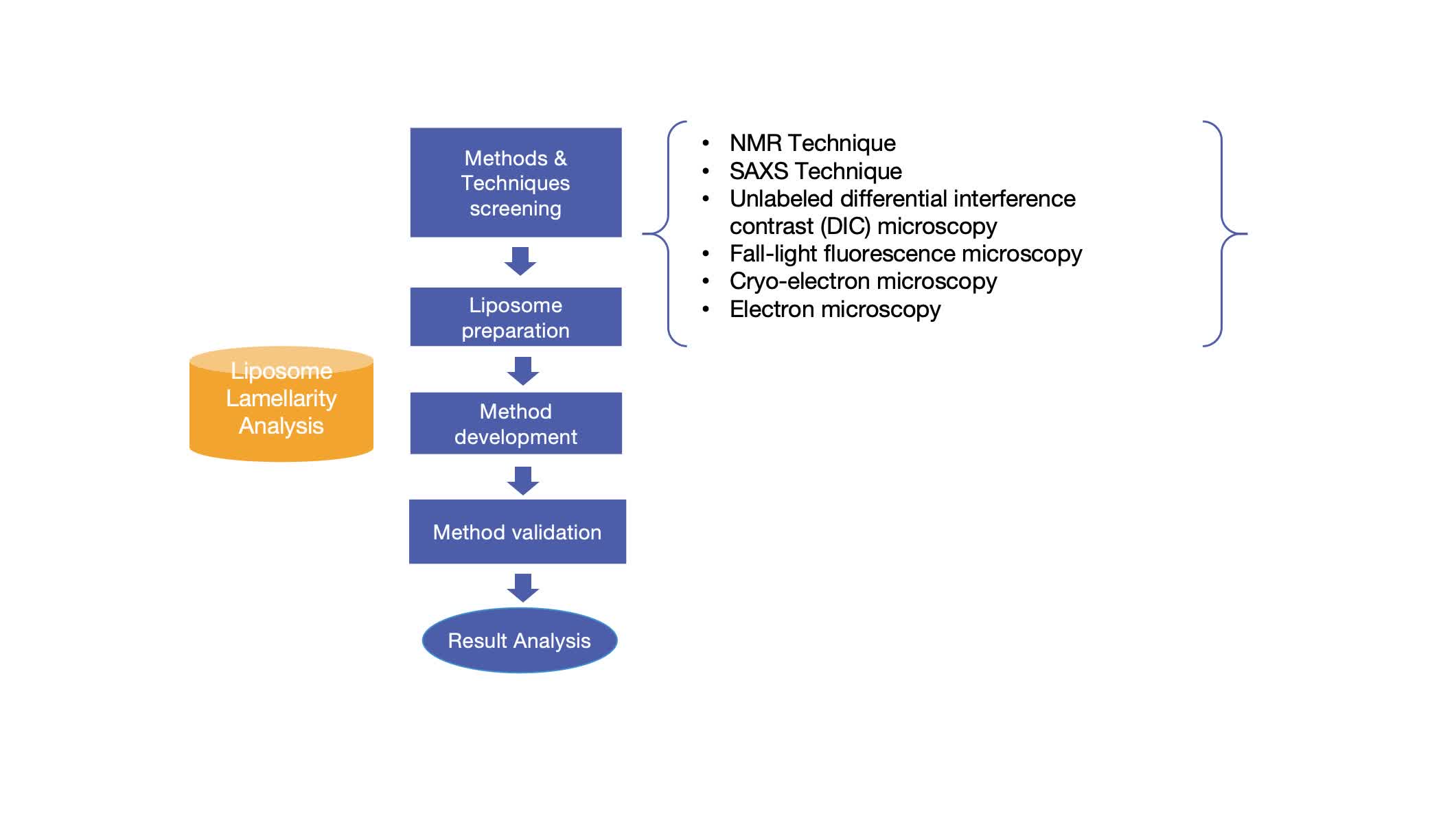 Fig.1 The workflow of liposome lamellarity analysis service. 