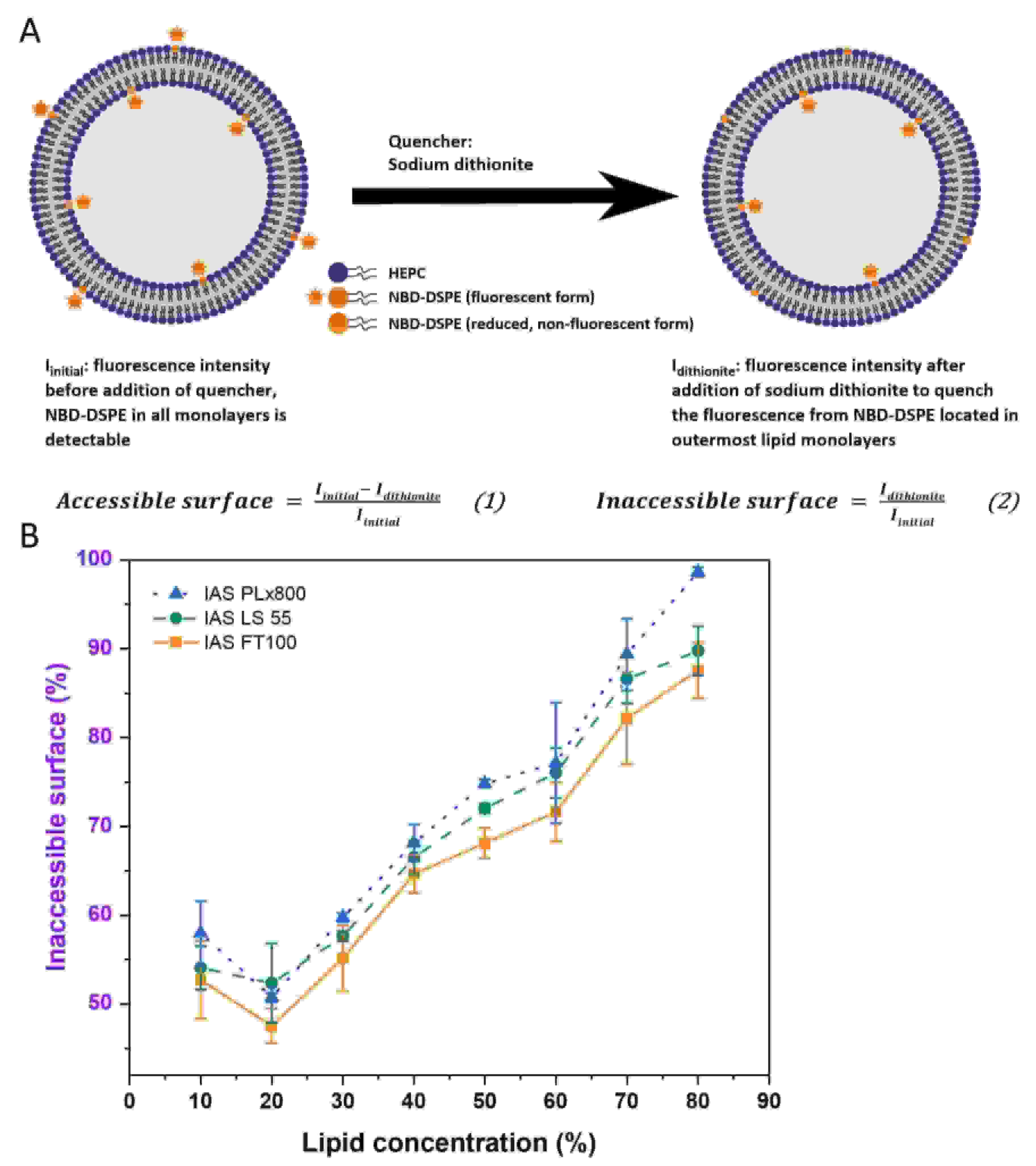 Fig.2 The schematic illustration of the inaccessible surface assay.