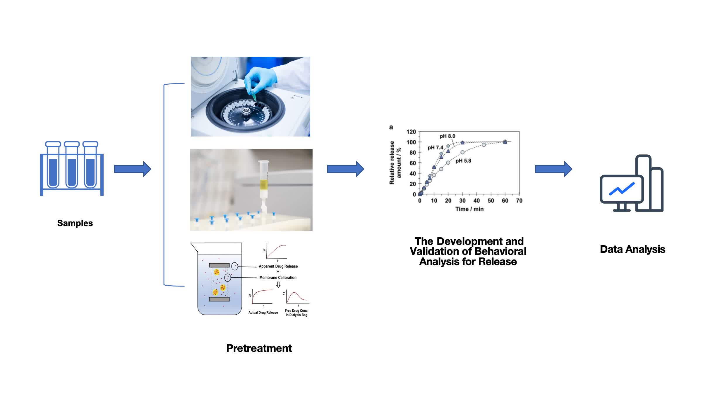 Fig. 1 Our workflow of liposome in vitro release study.