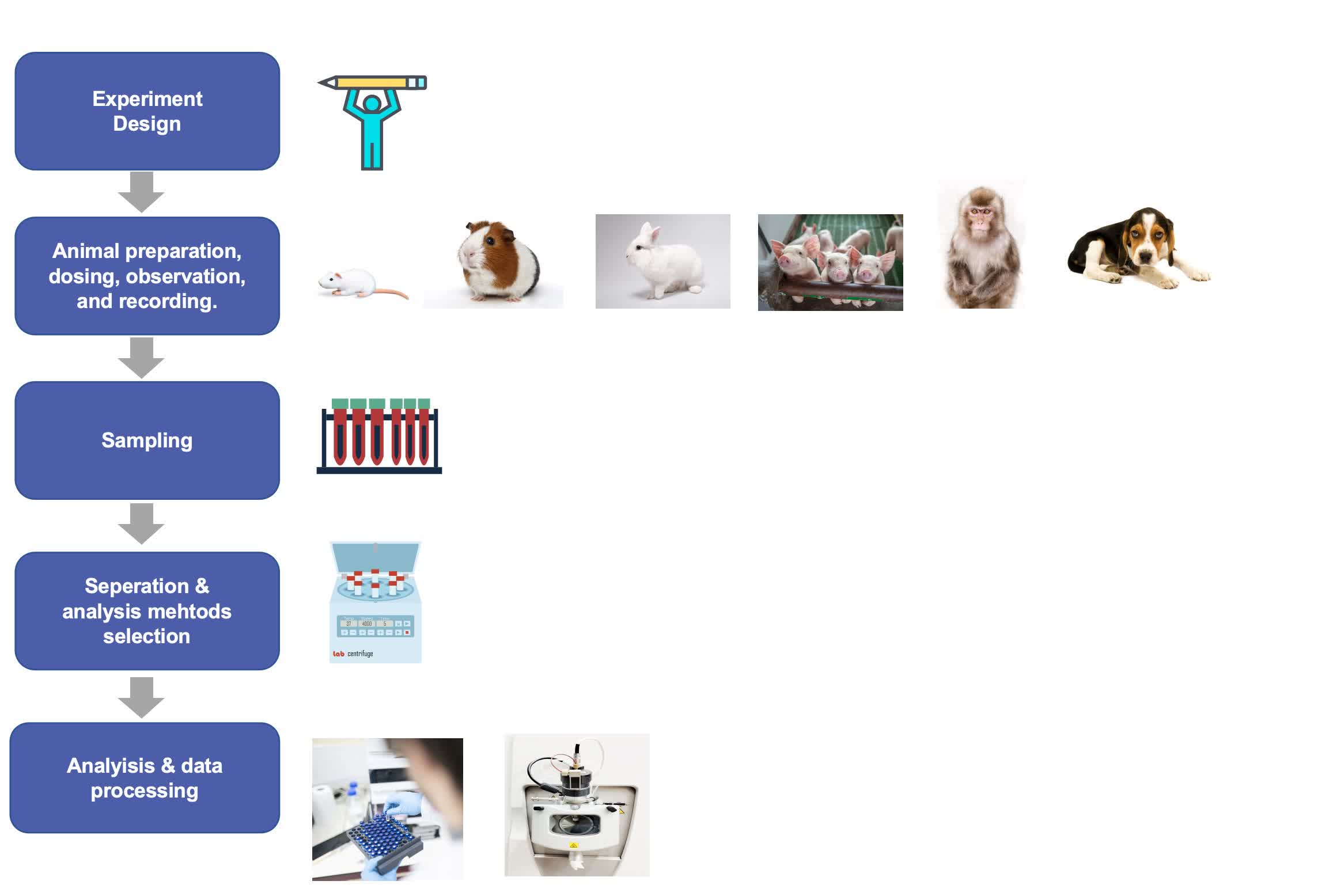 Fig.1 Our workflow for liposome pharmacokinetics study.