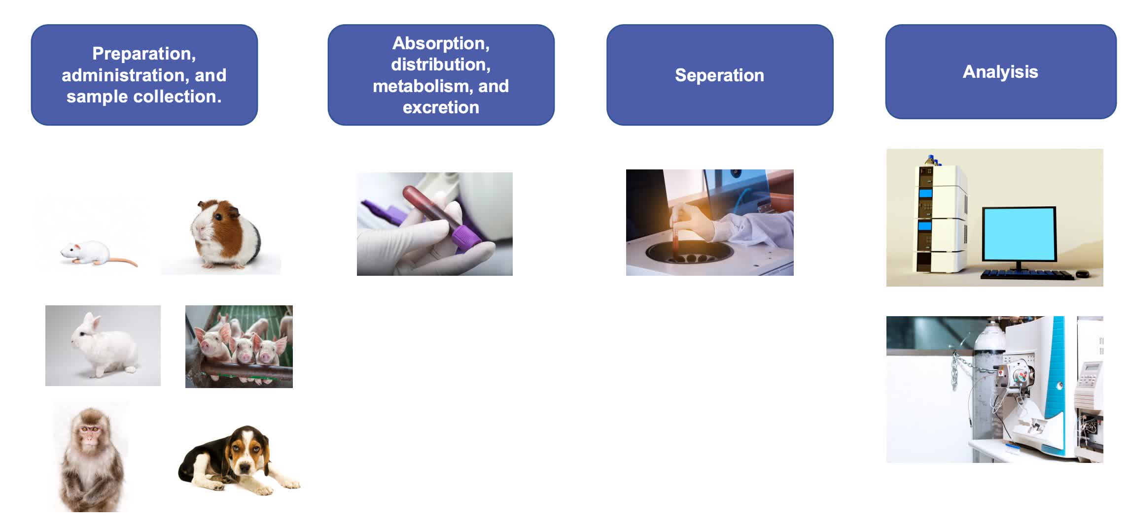 Fig.1 Workflow for liposome biodistribution study.