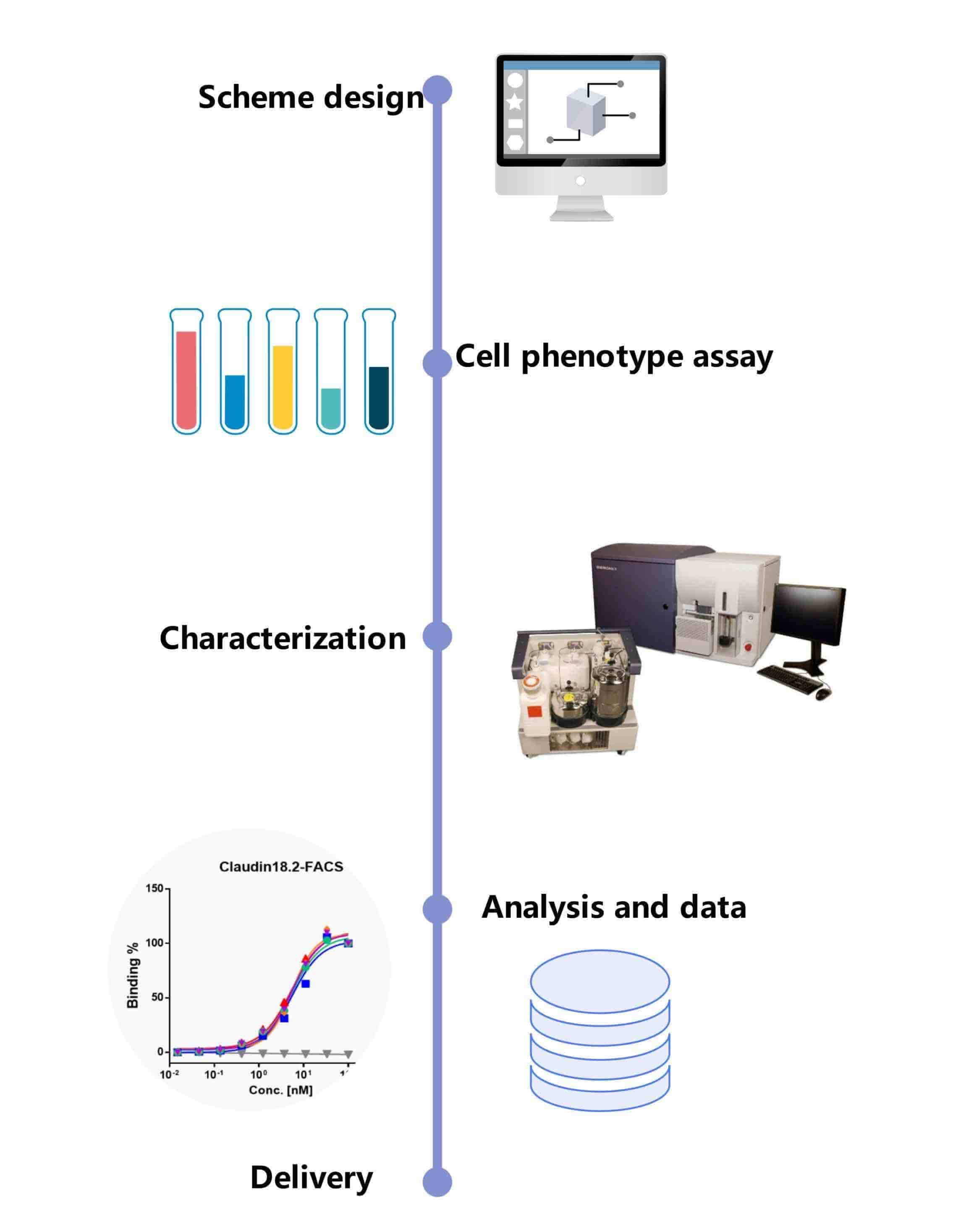 Fig.1 Workflow for liposome biodistribution study.