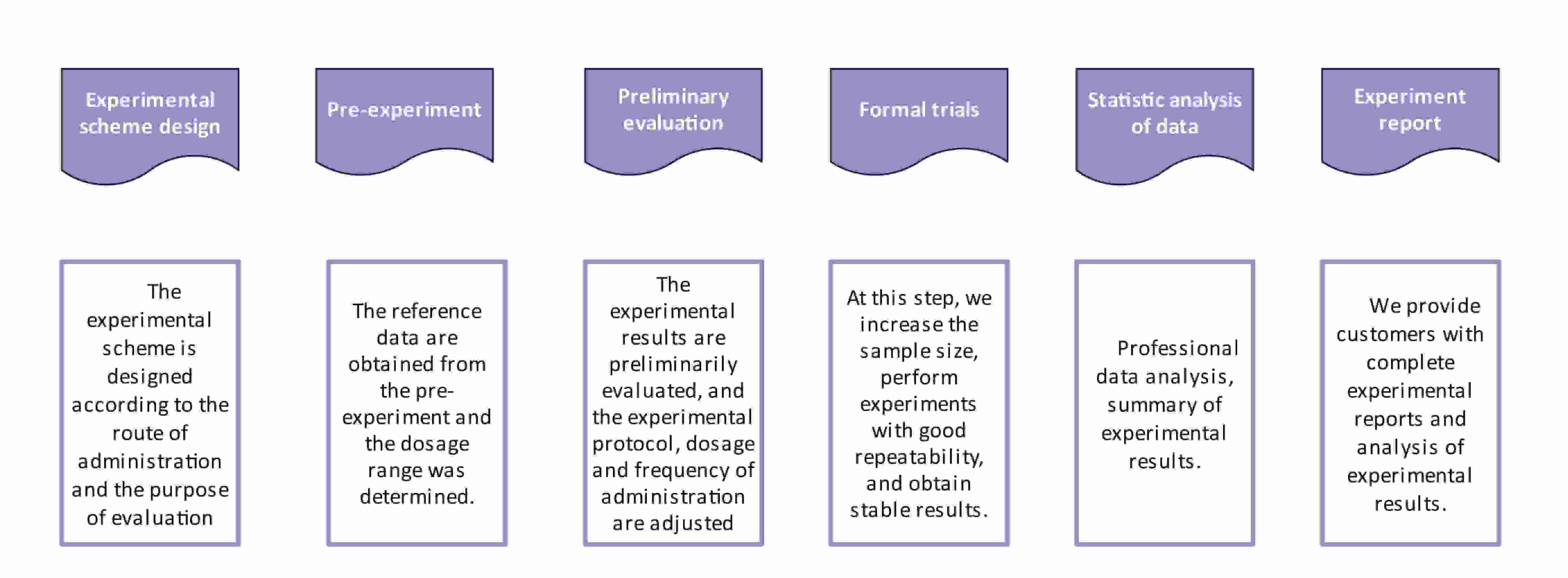 Fig.1 Our workflow of liposome biological evaluation.