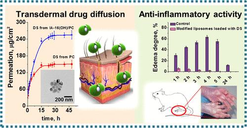 Fig.1 Evaluation of nonsteroidal anti-inflammatory liposomes containing cationic surfactants.