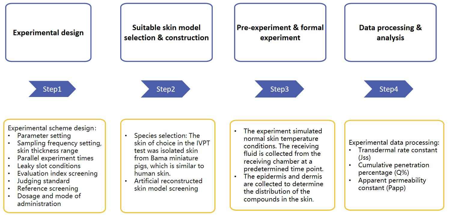 Fig. 2 Our workflow of transdermal liposome skin Irritation testing service.