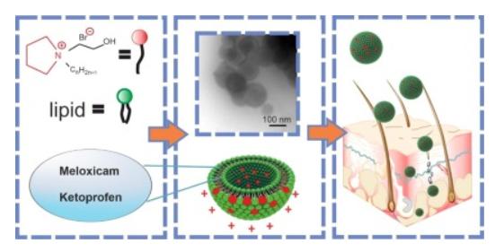 Fig.2 Cationic liposomes mediated transdermal delivery of meloxicam and ketoprofen.