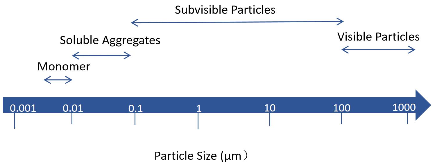 Fig. 1 Injectable particles.