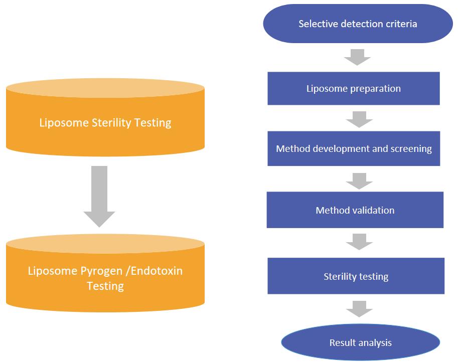 Fig. 2 The workflow of injectable liposome sterility and endotoxin testing.