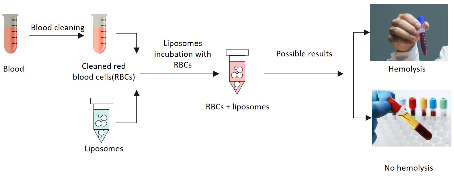 Fig.2 Our workflow of injectable liposome hemolysis testing.