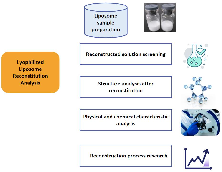 Fig.2 Workflow of lyophilized liposome reconstitution analysis.