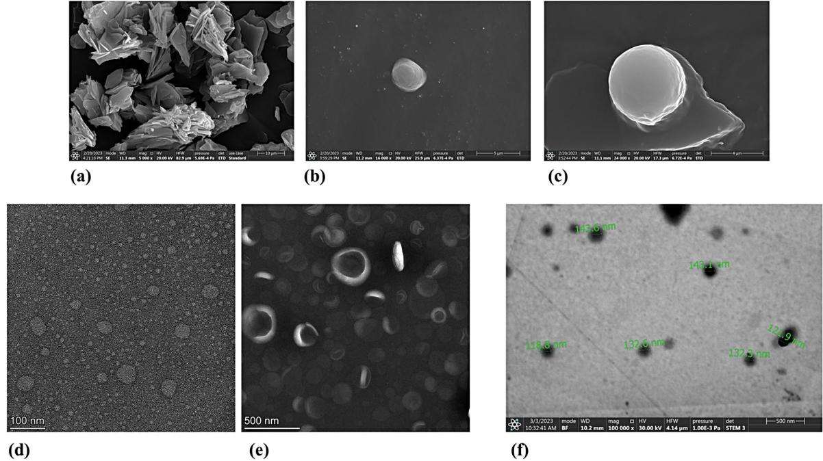 Fig.2 Morphological evaluation diagram of lyophilized liposome.