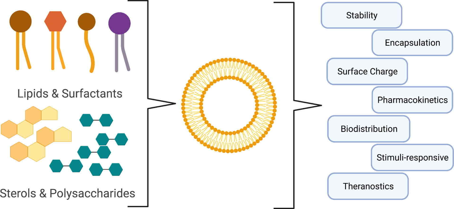 Fig.1 Characterization of liposomal drug delivery systems.