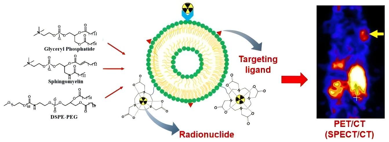 Fig.1 Schematic illustration of typical liposome modifications for nuclear imaging.