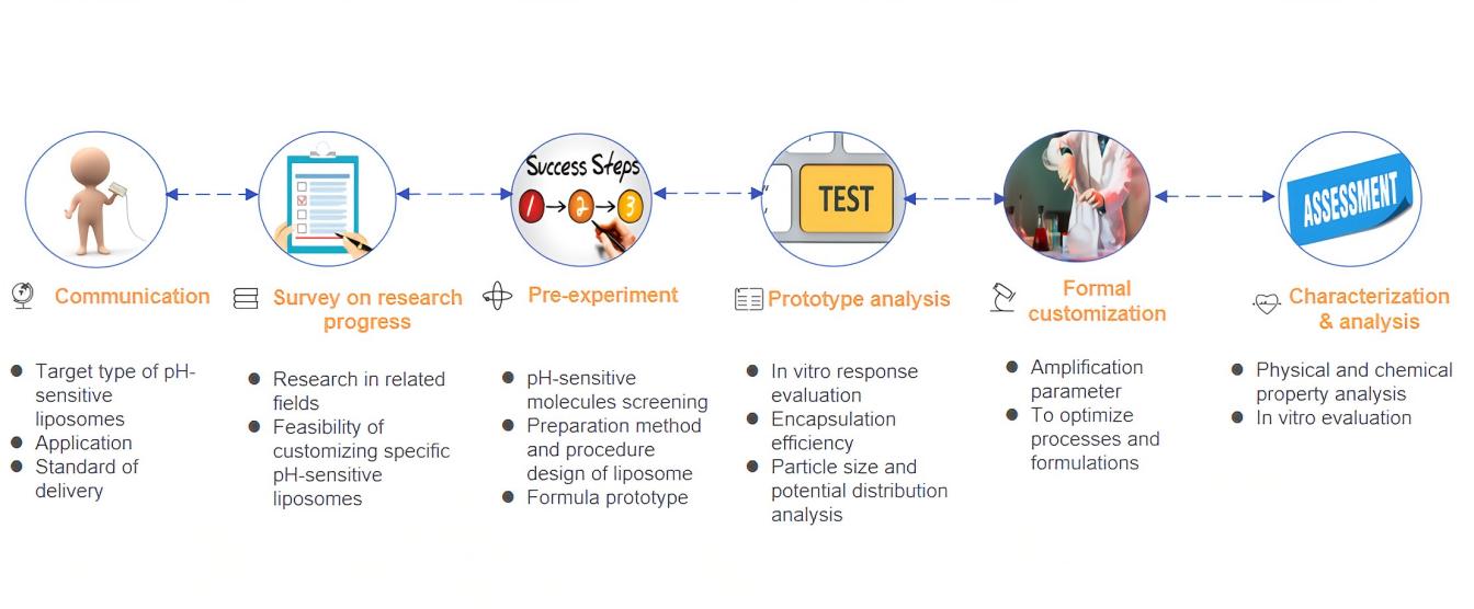 Fig.2 Our workflow for pH-sensitive liposome customization.